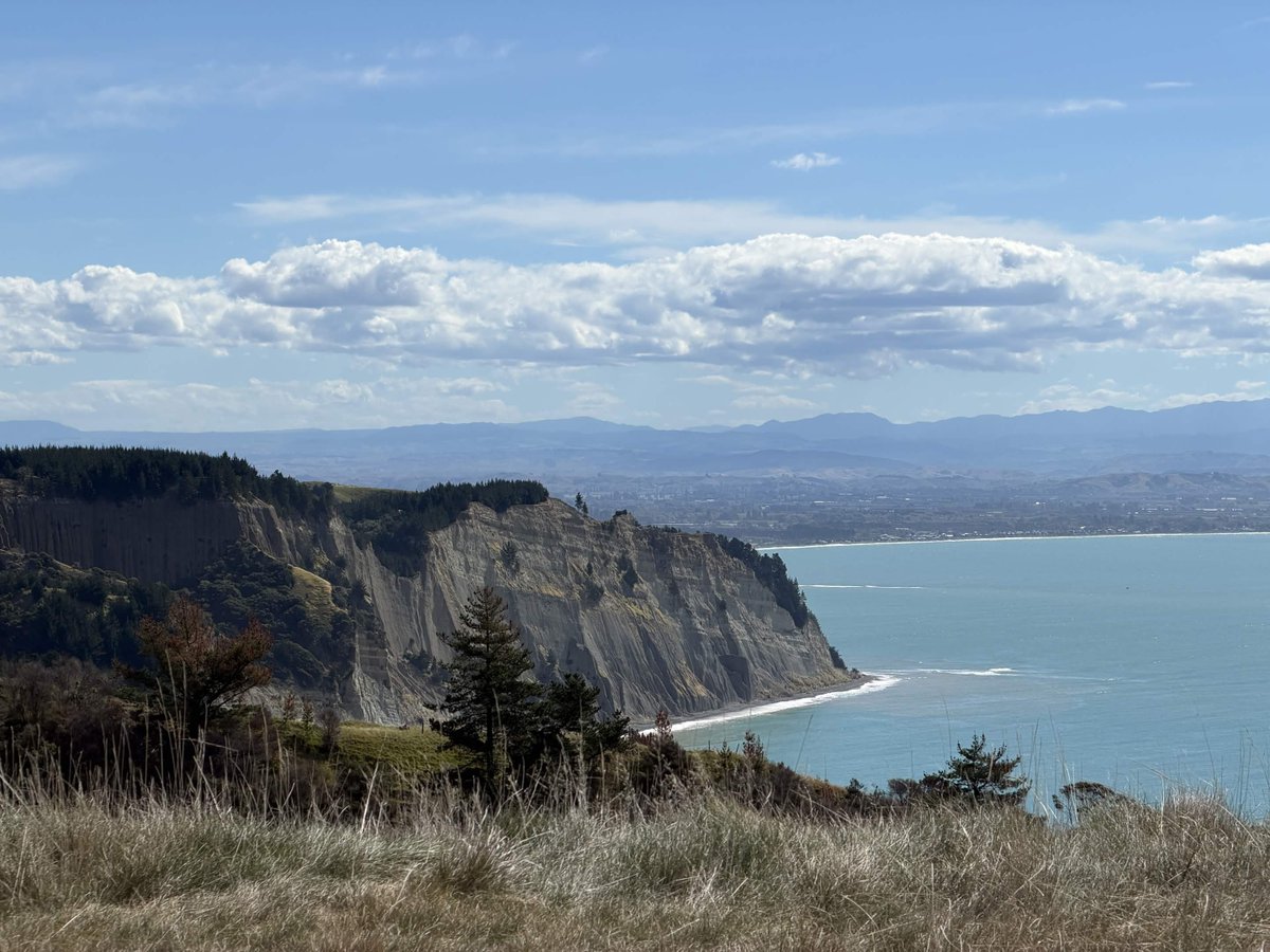 Eric - that former live 🏌️⛳ streamer tweet media