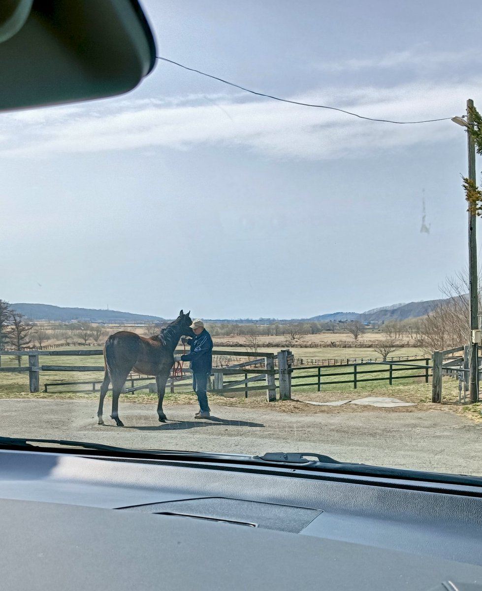 まさや(公式アカウント) tweet media