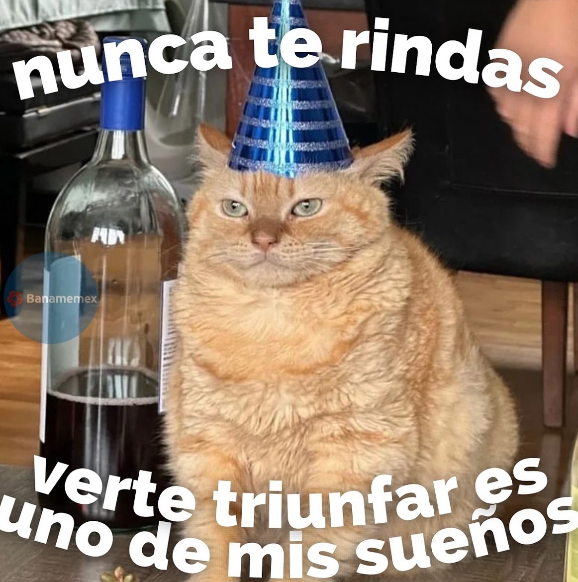Papá de Mango tweet media