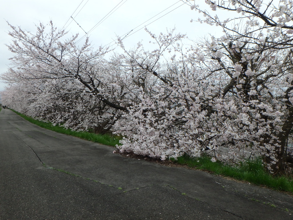 新潟市新津鉄道資料館 tweet media