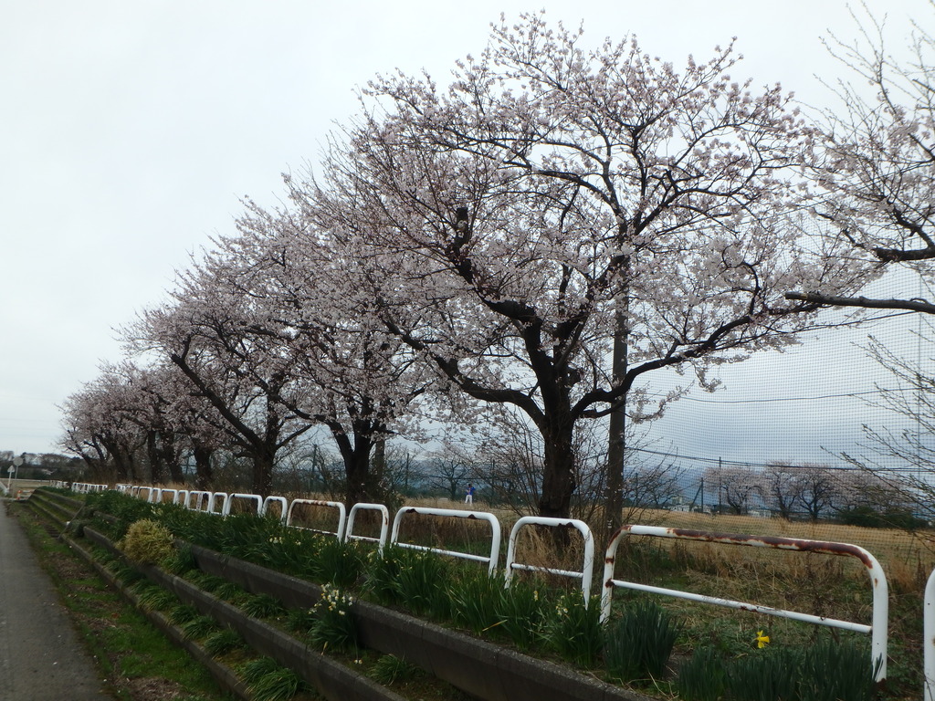 新潟市新津鉄道資料館 tweet media