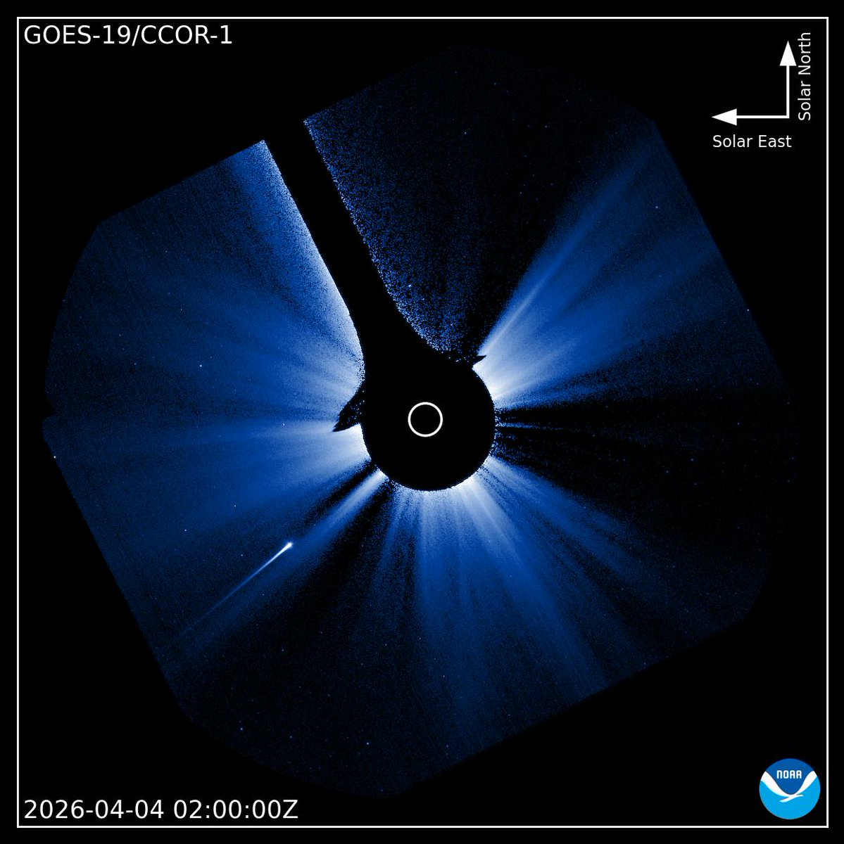 koujiohnishi's tweet image. #マップス彗星（C/2026 A1 (#MAPS))の最新画像    

2026年4月4日 #GOES19 CCOR-1(11時00分JST) #

GOES 19では、（超）小型の彗星ながら、異常な状況（分裂など）は見えていない。このまま、太陽に飛び込んでゆくか？

この後「どうなる？」今日一日、観測！