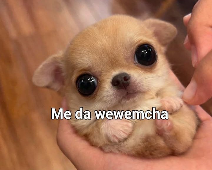 Maestre Mapaxito tweet media