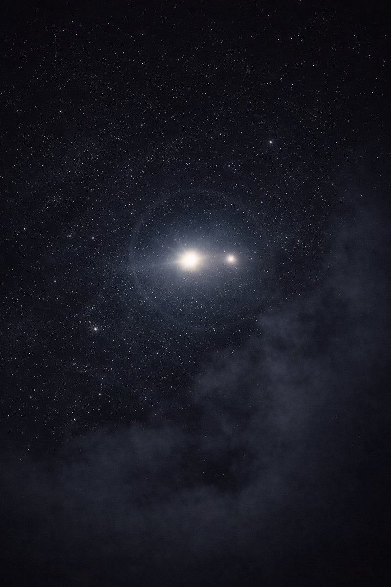 Quiet Disclosure tweet media