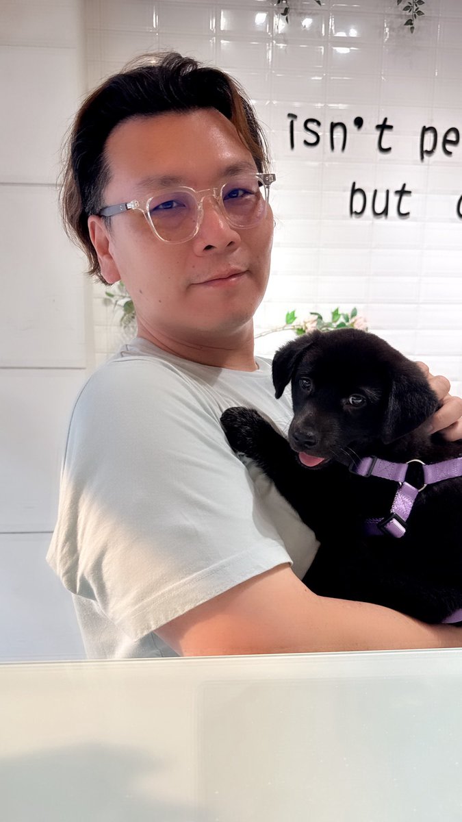 Stanley Yang tweet media
