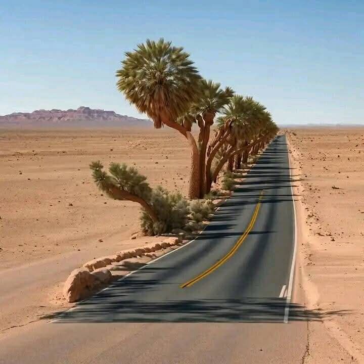 𝐈𝐭'𝐬 𝐌𝐞 ♡👑 tweet media