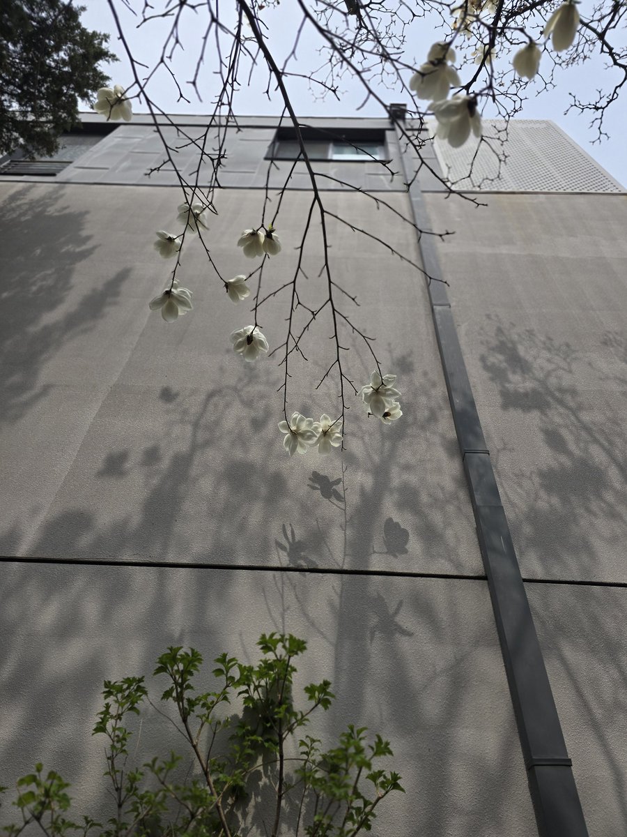 부끄부끄 tweet media