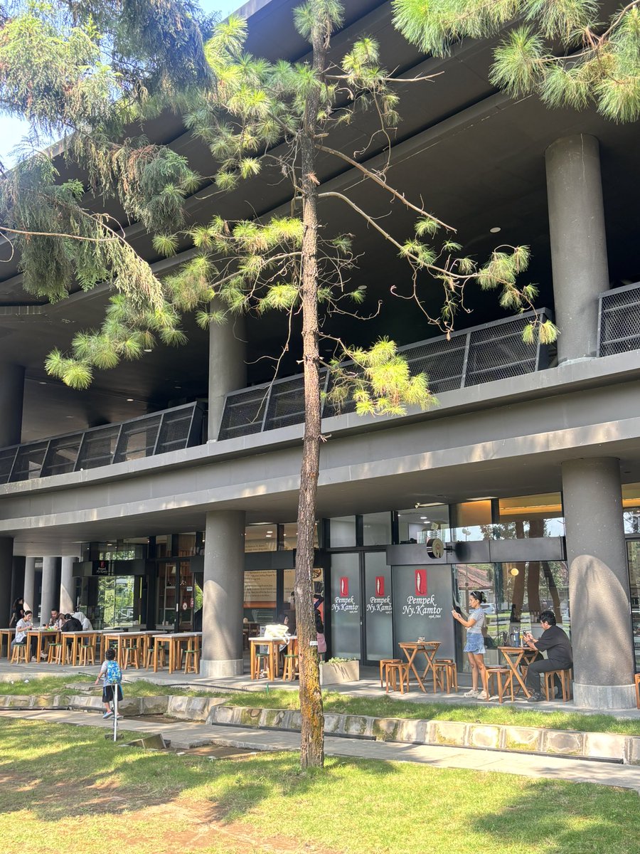 her 🦭 tweet media