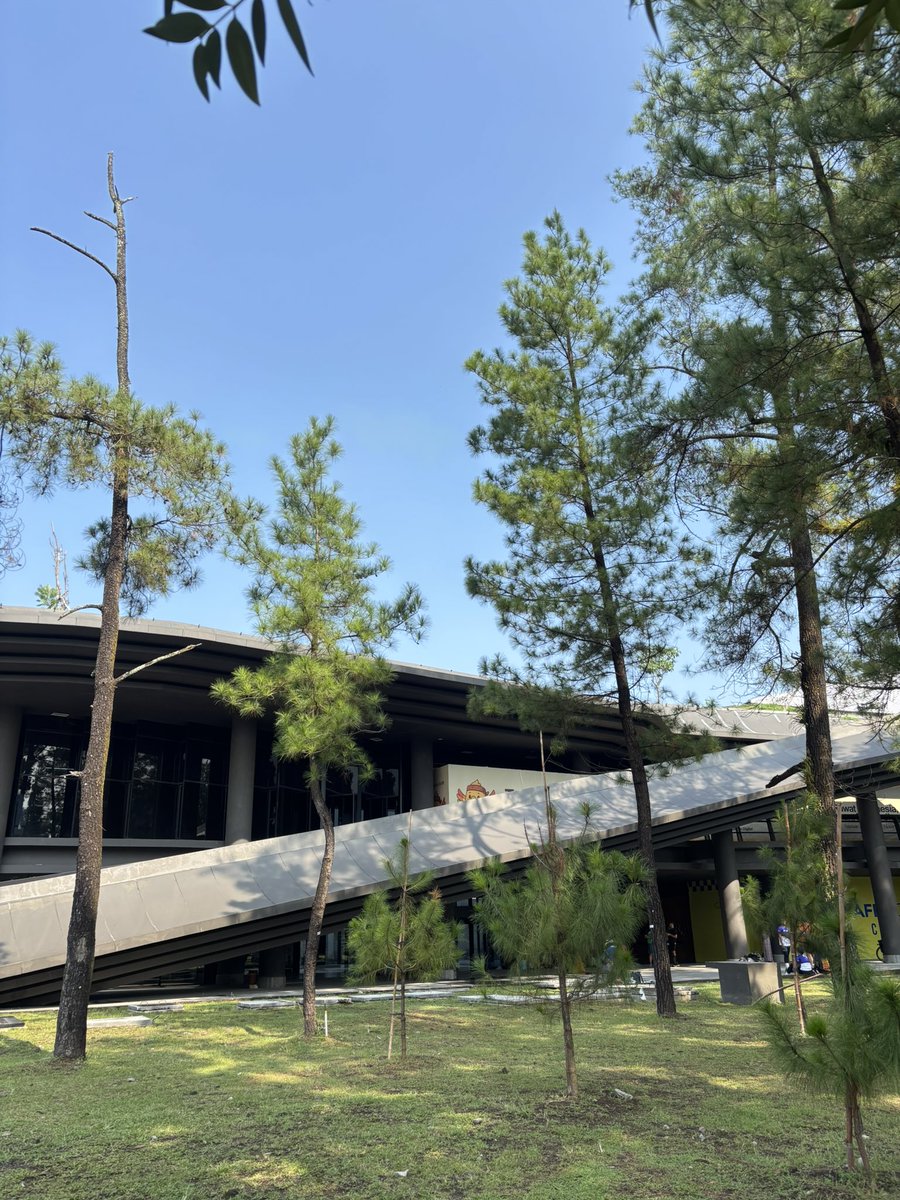 her 🦭 tweet media