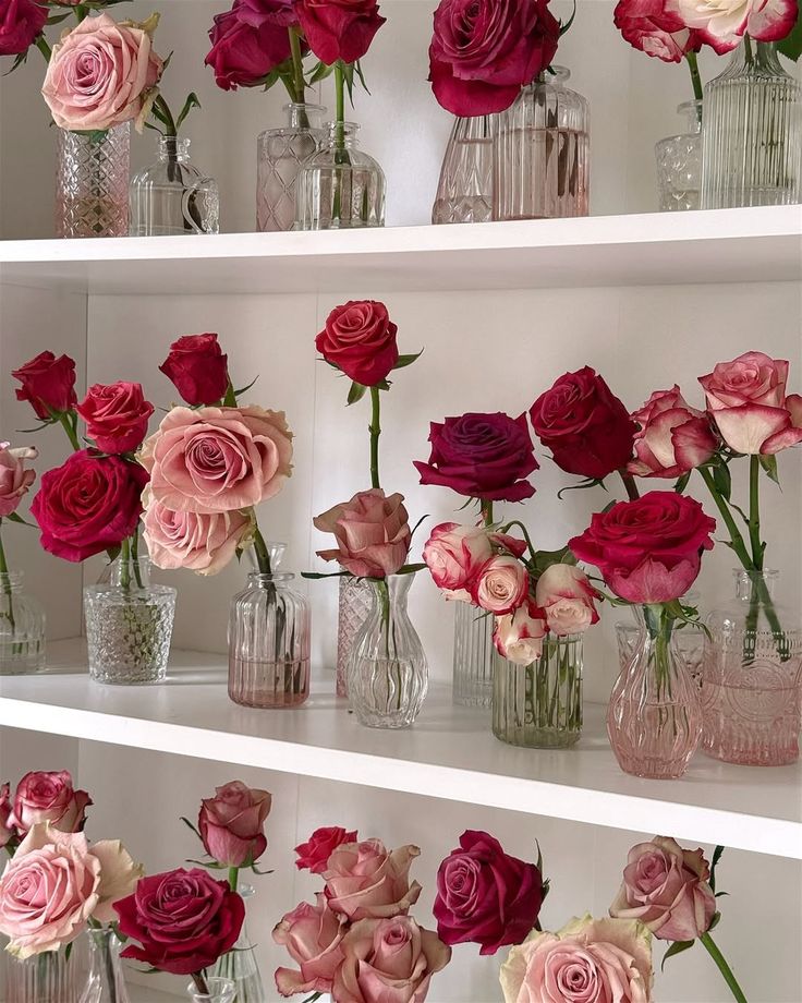 Flowers Life (@flowerslife54) on Twitter photo 