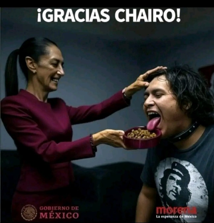 Alberto Estrada tweet media