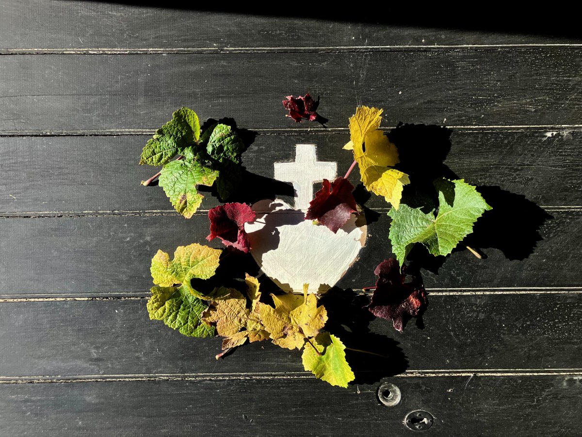 D E V O T U S tweet media