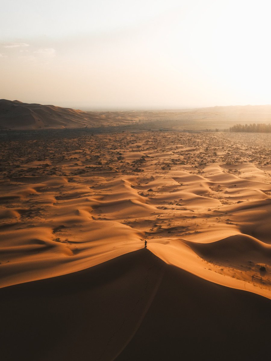 Mohammed | أباحسين tweet media