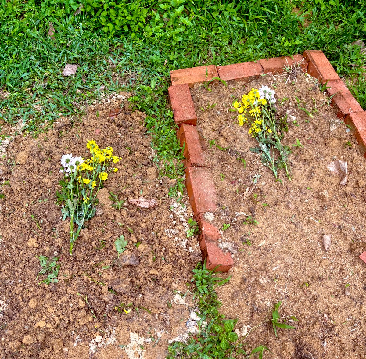 min min 🐱 tweet media