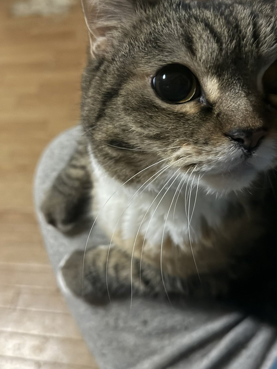 まそっぷ tweet media