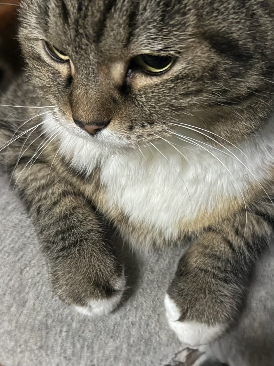 まそっぷ tweet media