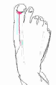 @yams 🌈🦠 #PepsiTenna tweet media