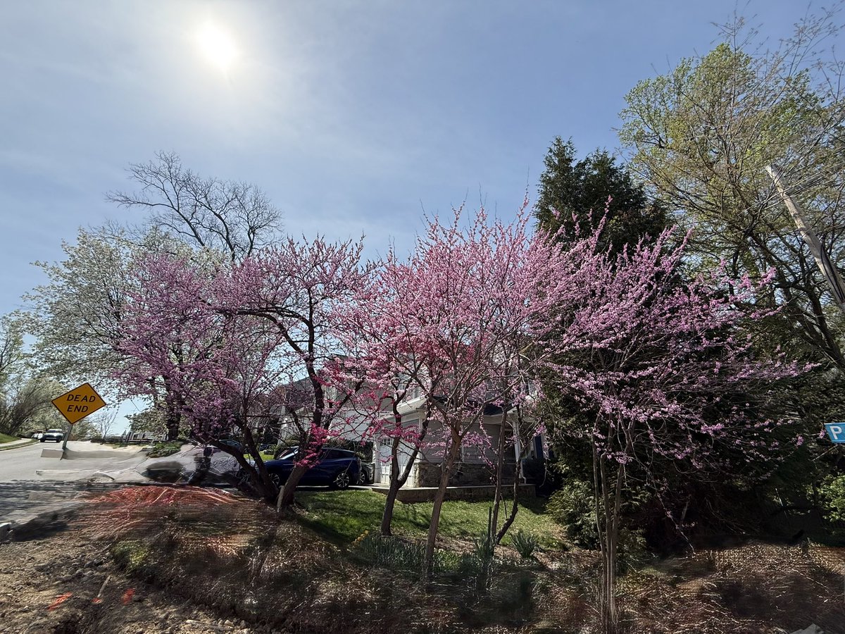 もーちゃん tweet media