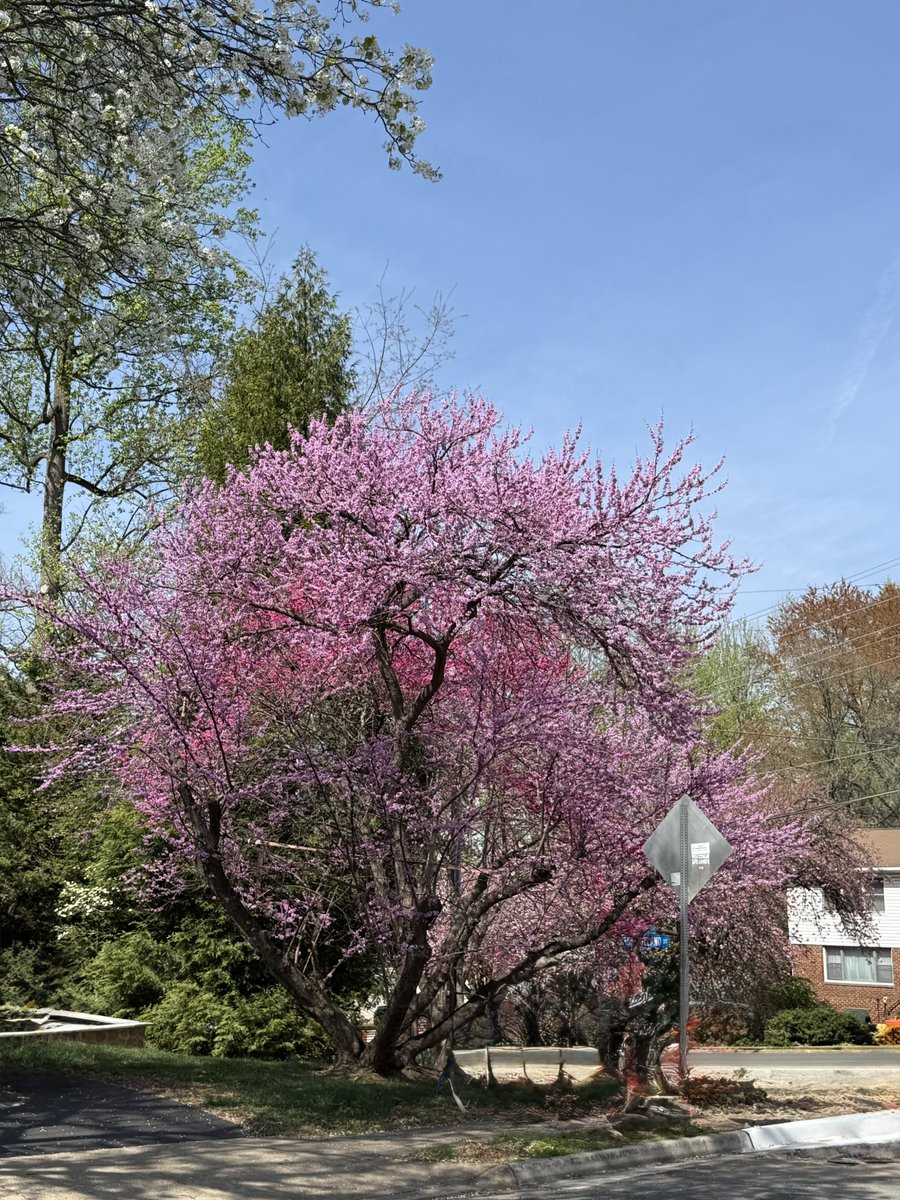 もーちゃん tweet media