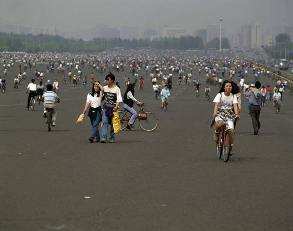 늘푸른소나무 tweet media