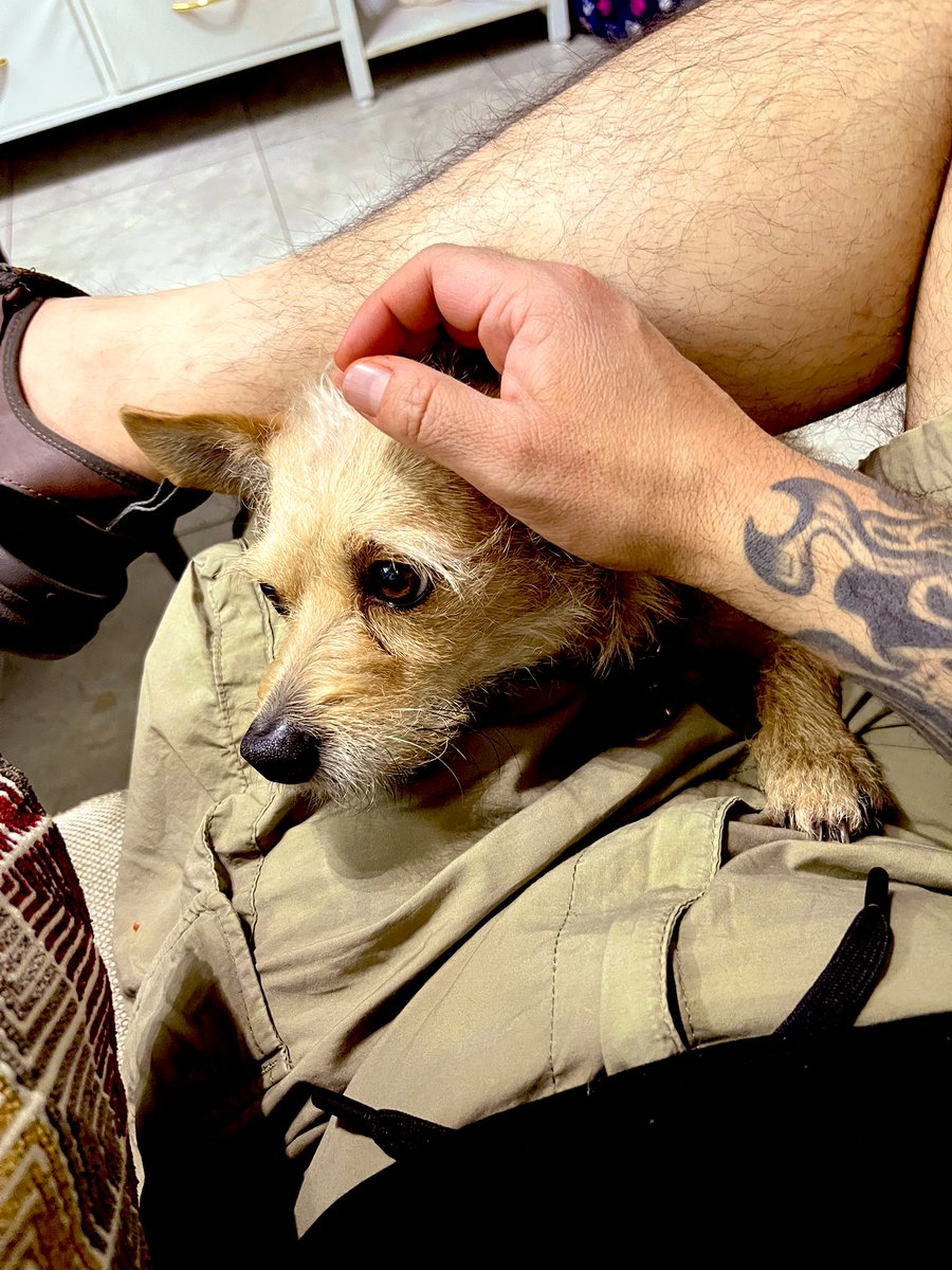 LALI LULASH tweet media