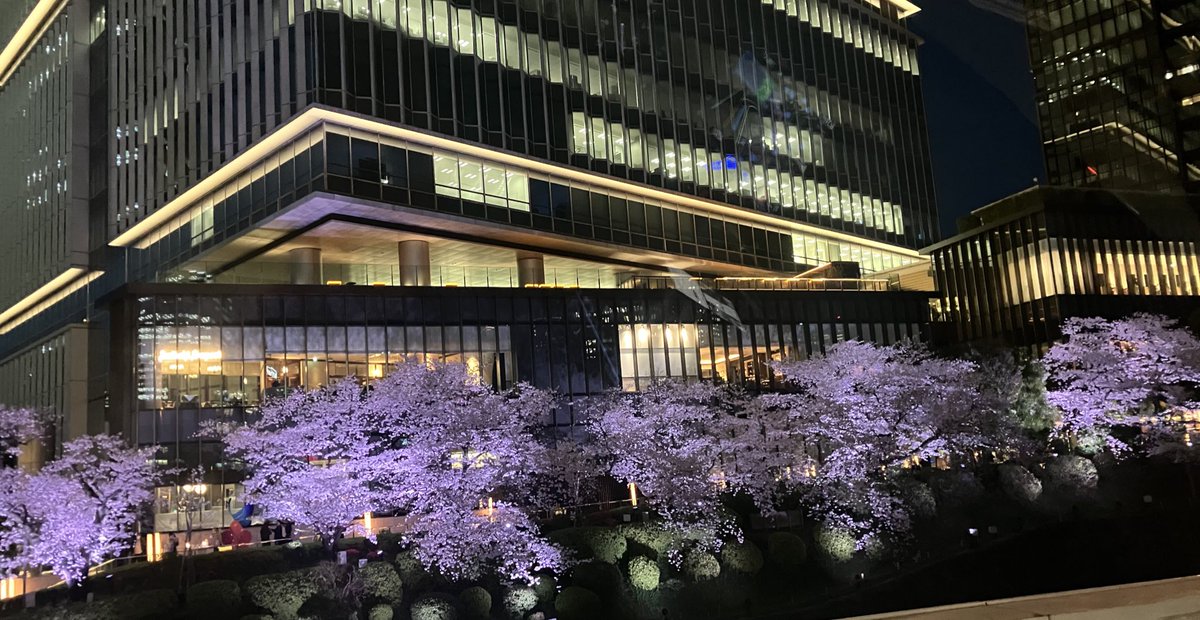 Halder Japan tweet media