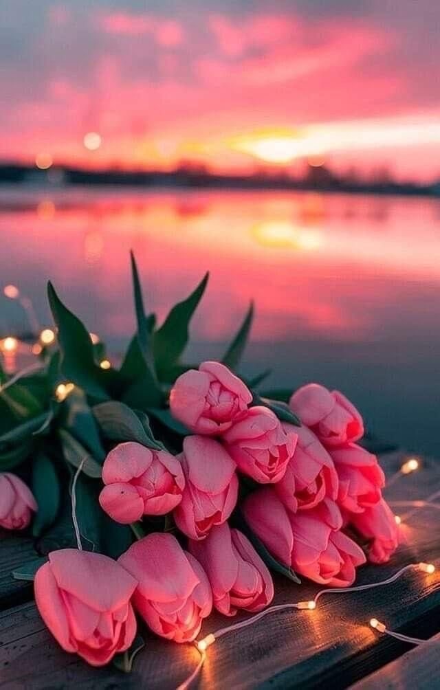 صباح الخير، وبعد:
"مَتى أيْقن الإنسان أن قدره مكتوب، وأن اللّٰه قد اختار لهُ الخير في شأنه كلّه، وأنه لو فُتحت له مفاتيح الغيب فقرأها، لما اختار إلا ما اختاره اللّٰه له، تهادَت عليه حُلل الطمأنينة والرضا، وغشِيهُ امتنانٌ لله عز وجل على ما قدّره له وكتبه، فطيبوا بذلك نفسًا"