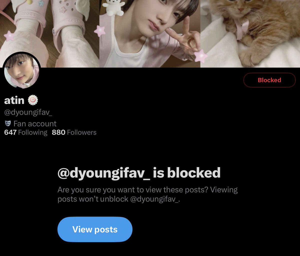 alice ✶ tweet media