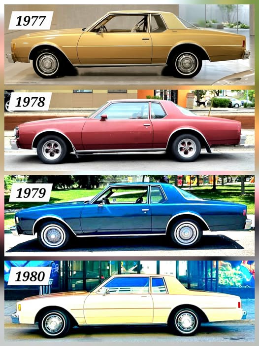 𝕊𝕥𝕖𝕧𝕖𝕟 𝕄. 𝕃𝕖𝕘𝕒𝕔𝕪 🇺🇸 tweet media