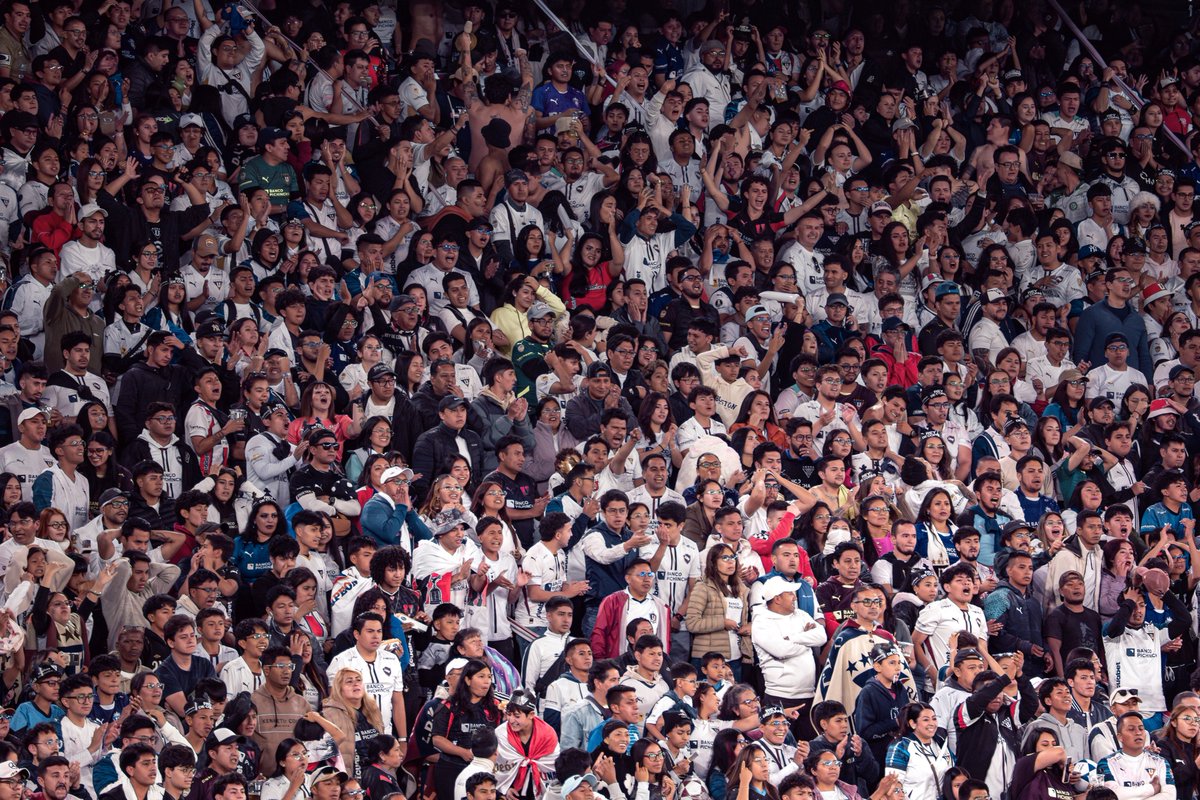 LDU Oficial tweet media