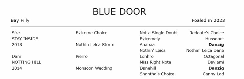 Tara Madgwick tweet media