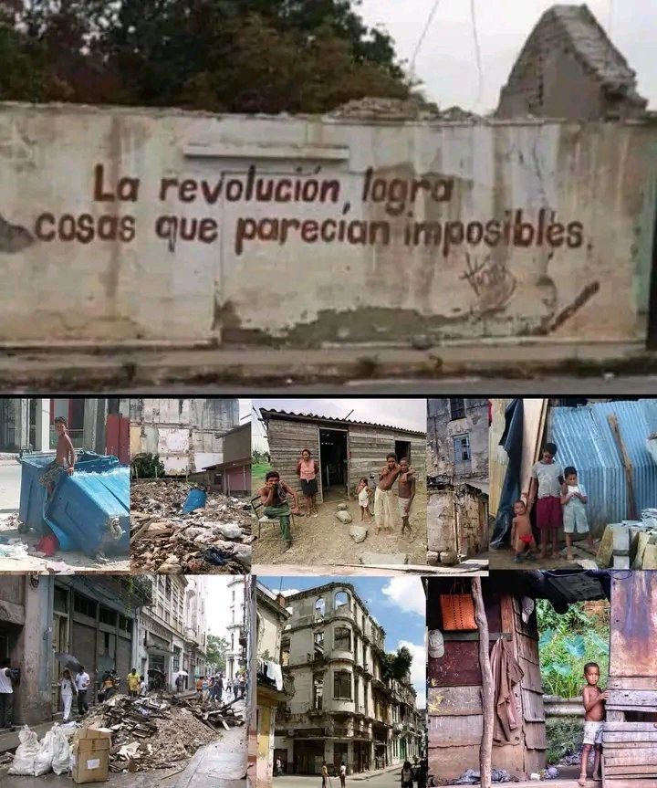 Bruno Manher tweet media