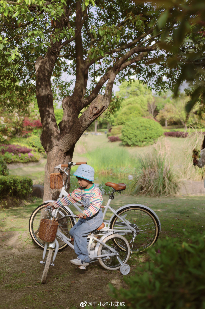 tammi garlington tweet media