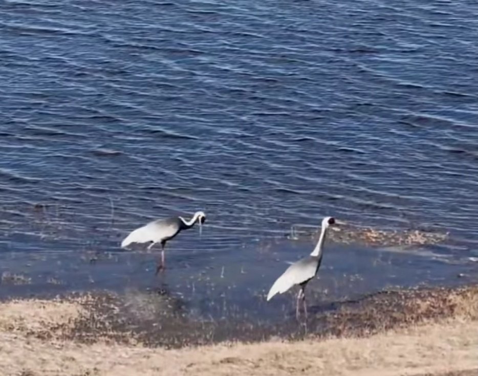 Sarnai🇲🇳🇲🇳🇲🇳 tweet media