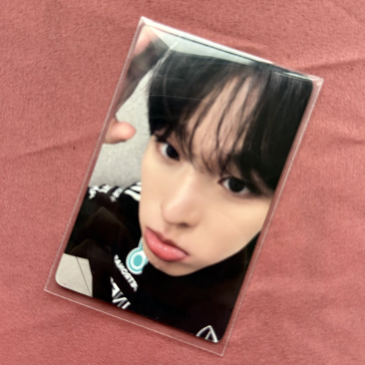 7드림 | ROLO tweet media