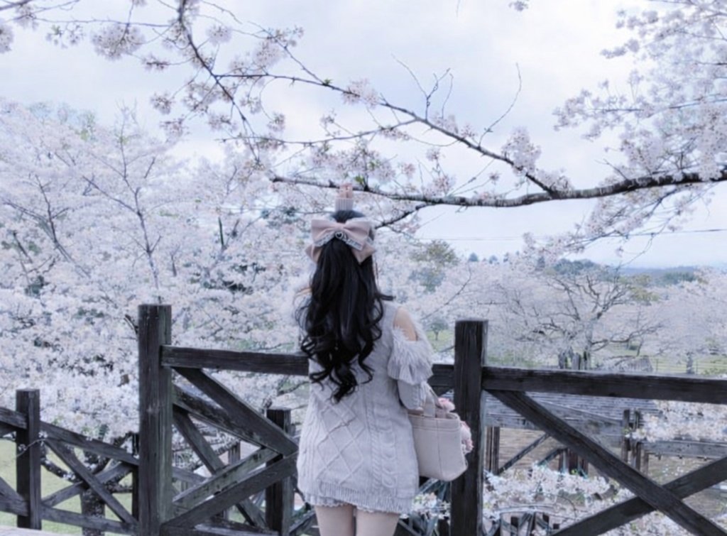 safety828's tweet photo. 🌸🌸🌸 https://t.co/N41hzLIomc