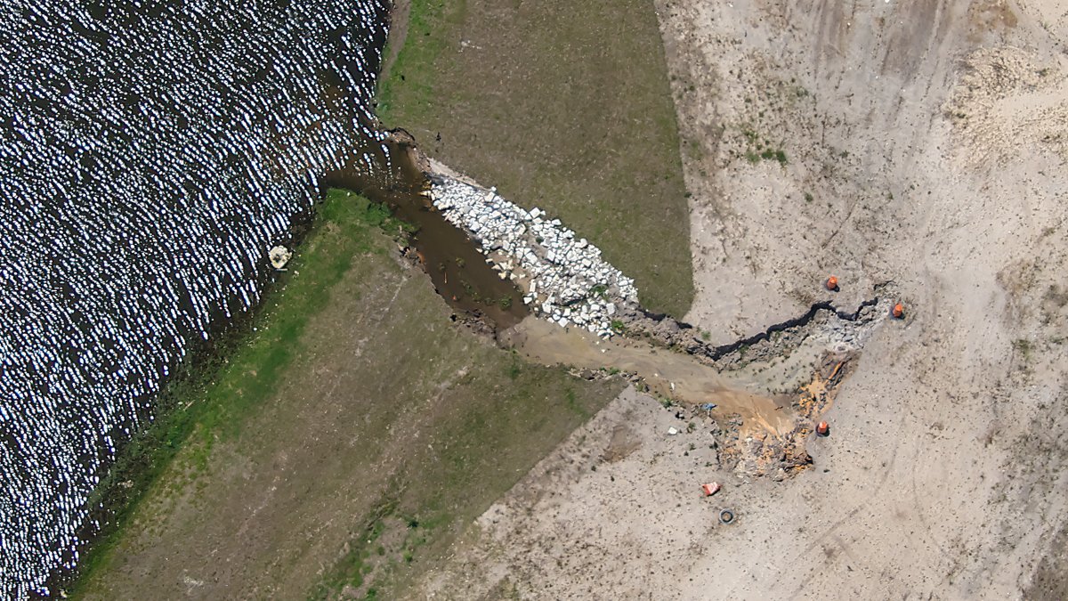 bioreconstruct tweet media