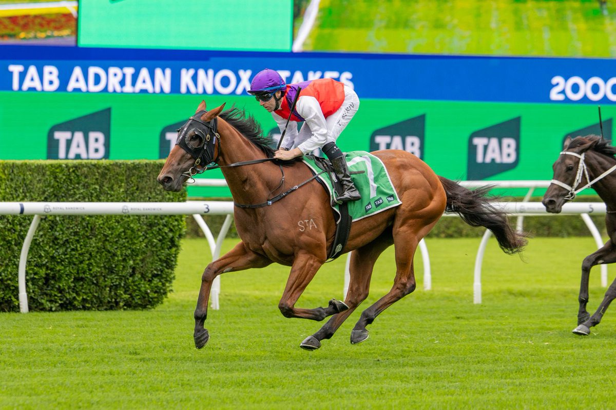 Michael Freedman Racing tweet media