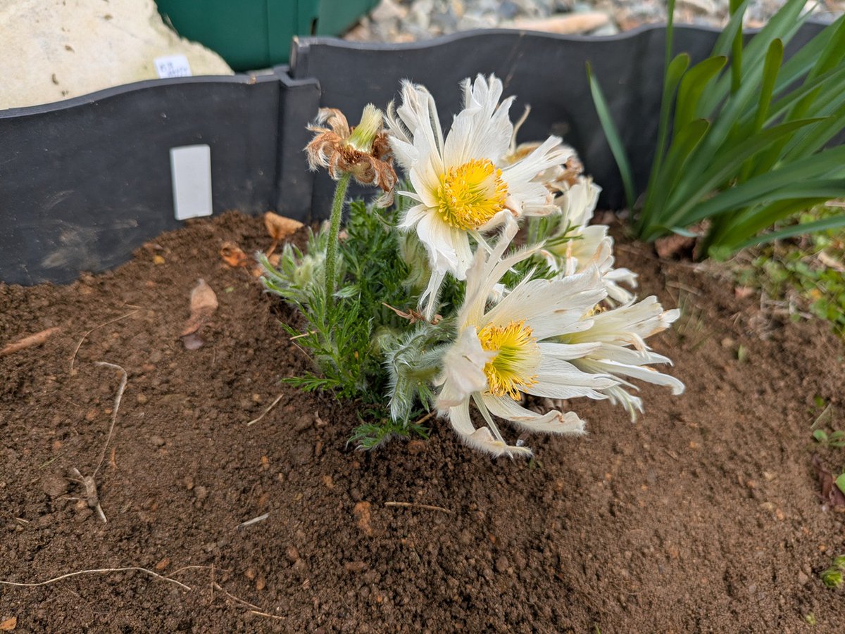 ExSIERRA tweet media