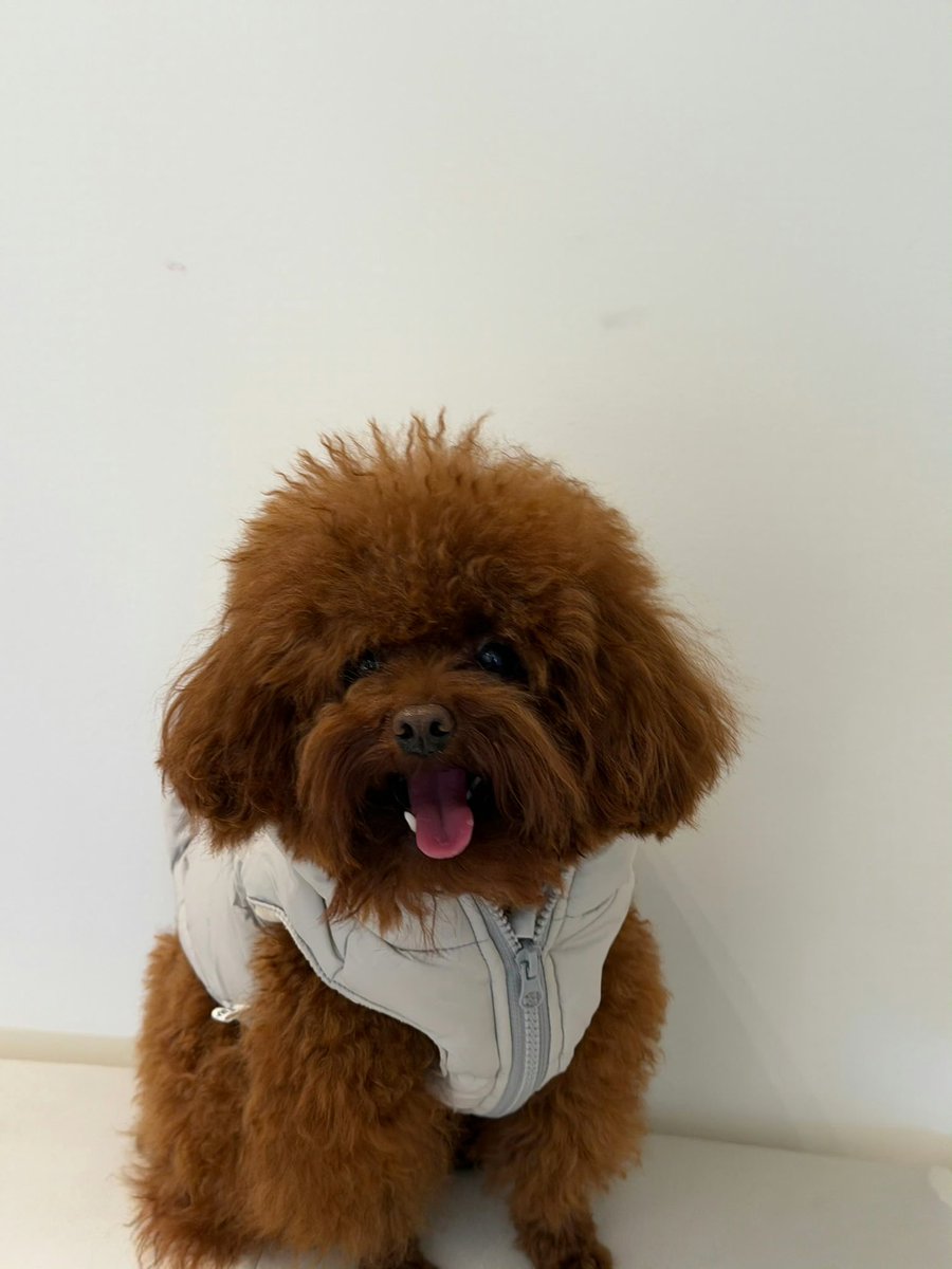 신데조이라 ♥ 진영C tweet media