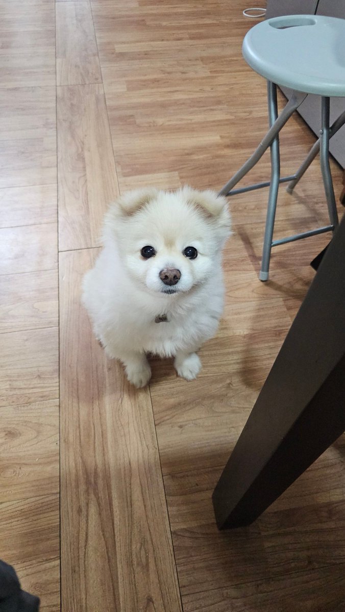 누나 백미 일어나써
밥줘