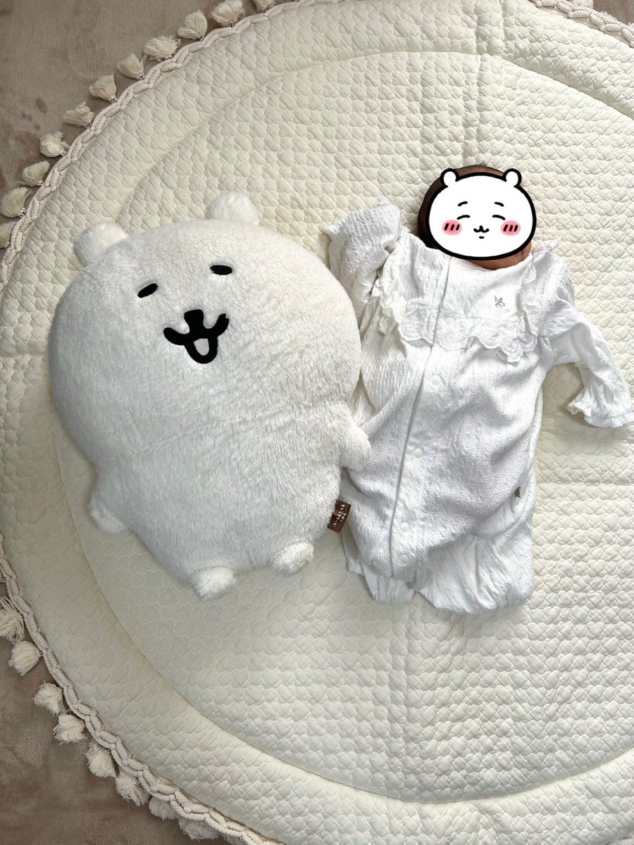 スワン tweet media