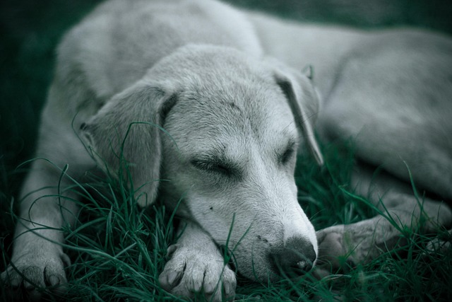 Kevin Porter tweet media