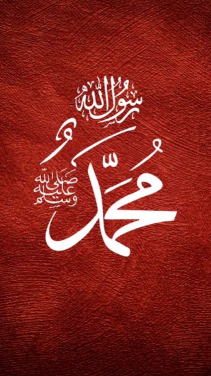 Ghulam Murtaza🇵🇰 tweet media