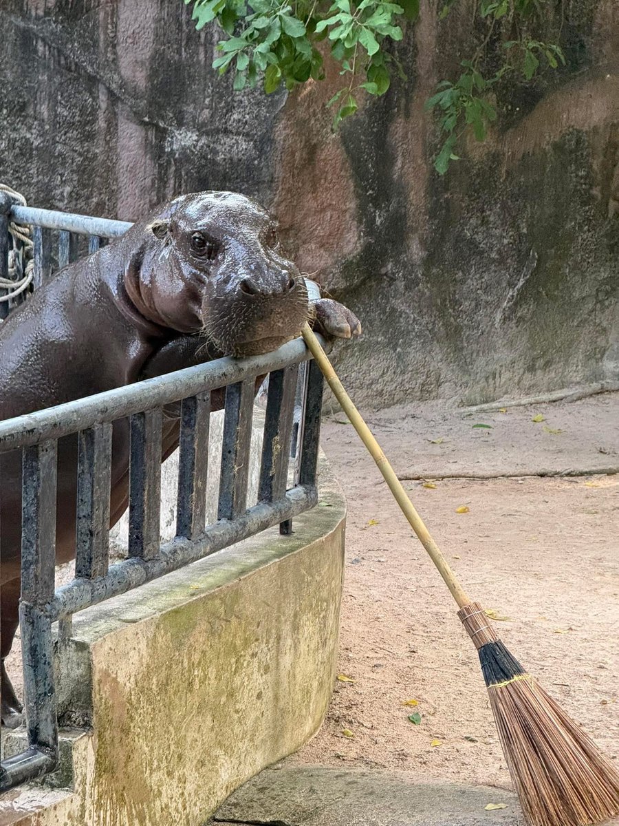 Khamoo.andthegang tweet media