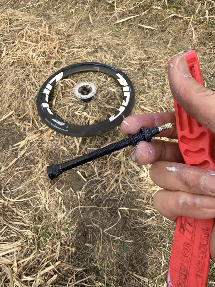 くまｼｬﾝ tweet media