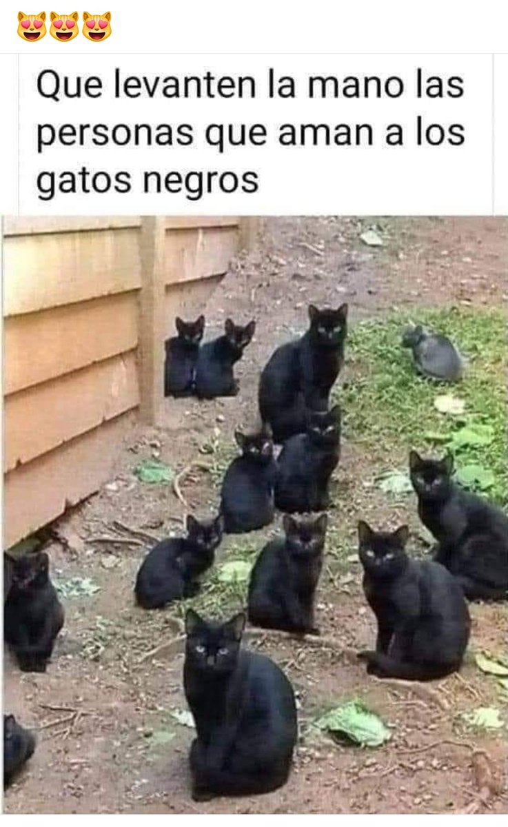 Manu Saenz💛💛 tweet media