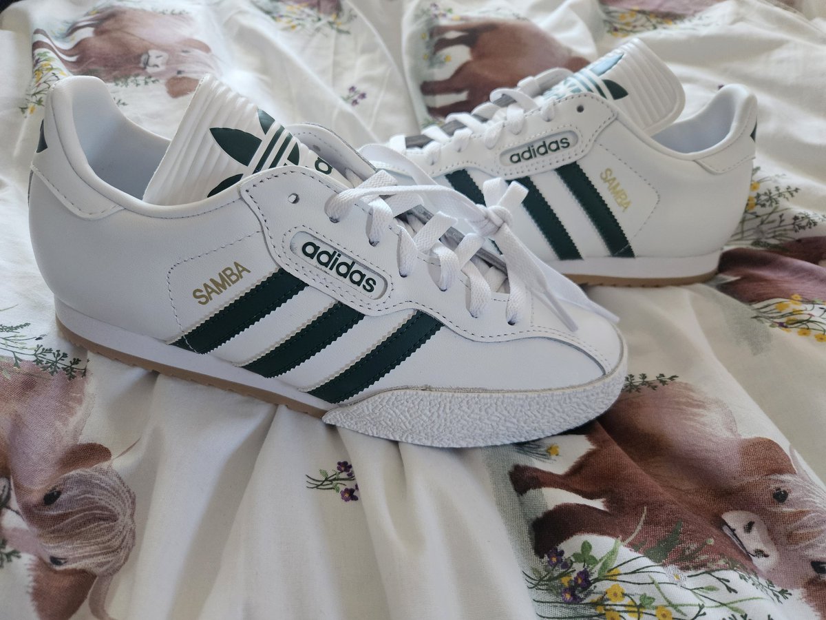 Laura 🏴󠁧󠁢󠁳󠁣󠁴󠁿🐰🍀 tweet media