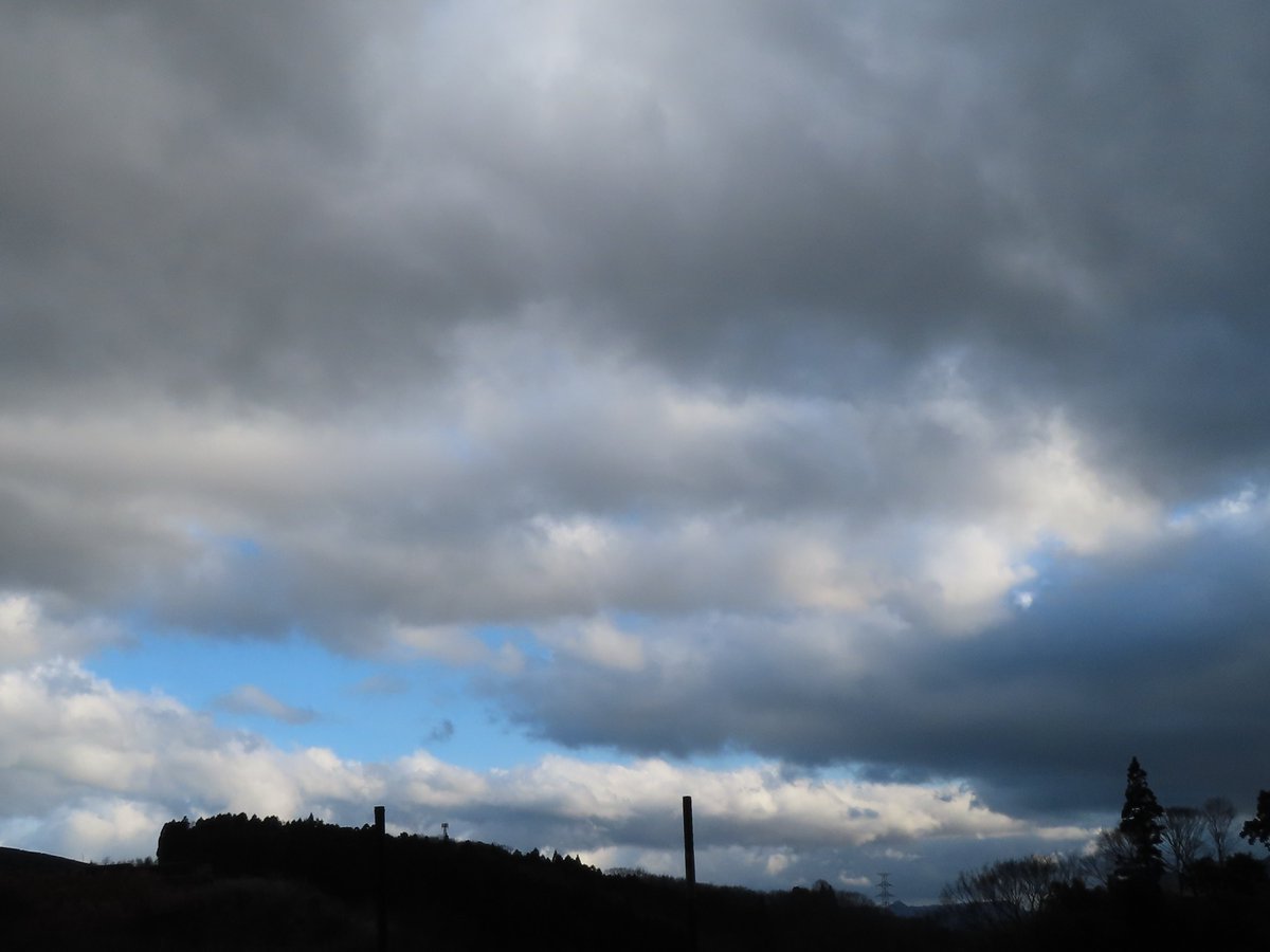 かぼす＆みかん（・かぼみ・小鳥遊　月見里・） tweet media