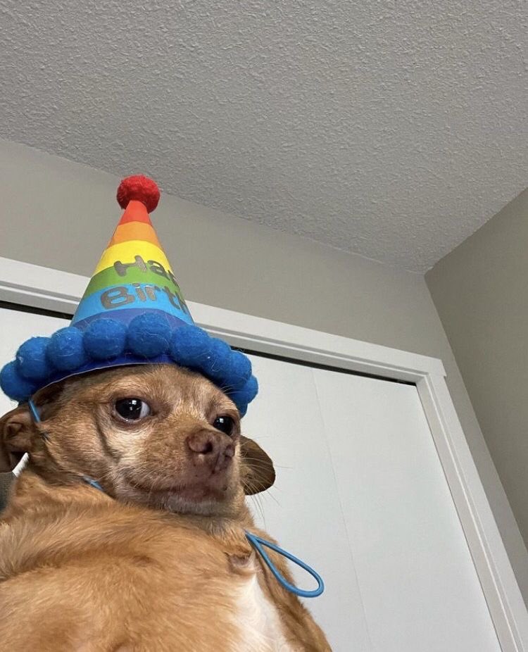 KuroCore 🌻 tweet media